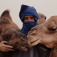 واحد صفر (@od_phb) 's Twitter Profile