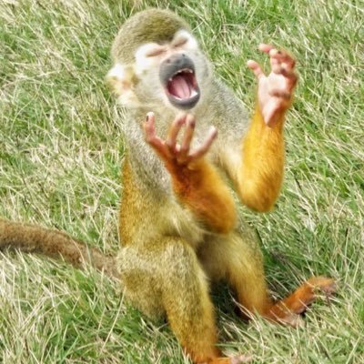 tailerlah's profile picture. 