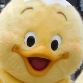 ogachan1999's profile picture. 雑多垢　シャドウバンに引っかかっていたらしいアカウント　20↑
