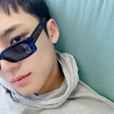 perfil oficial do namorado do wonwoo (não sou o mingyu), 'ah pq n sei oq' sim e como isso afeta o seventeen?