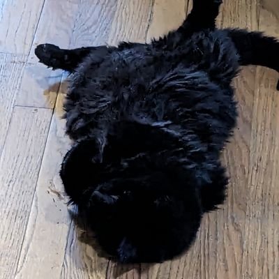 KovStew's profile picture. I'm lost...need directions out of here.
