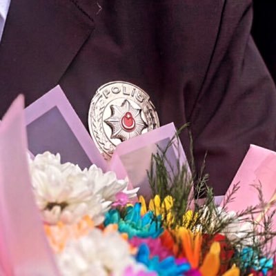 Pomemonlisanss's profile picture. 