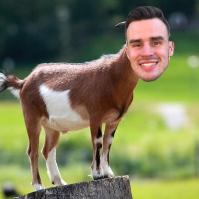 Goats doing goat things. Feel free to check out the twitch. Thanks for stopping by!