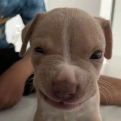 garsbehindU's profile picture. timón dañao