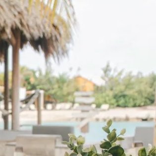 KumonAveryBodhi's profile picture. 