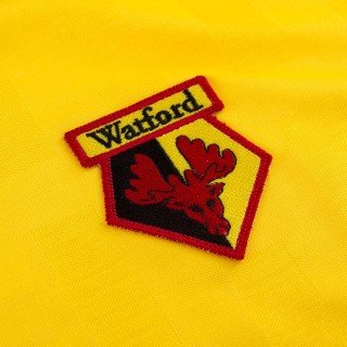 A podcast speaking about everything Watford FC🐝
Founded by @AidenWFC