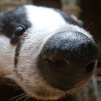 Hourly Badgers(@HourlyBadgers) 's Twitter Profile Photo