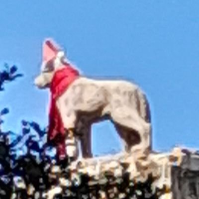 XJacob4202's profile picture. 