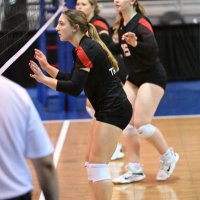 Ava Fischer (@avafischer207) 's Twitter Profile