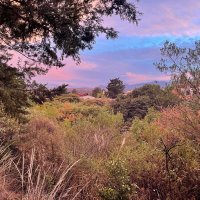 José Luis Rodríguez (@josluisrod18423) 's Twitter Profile