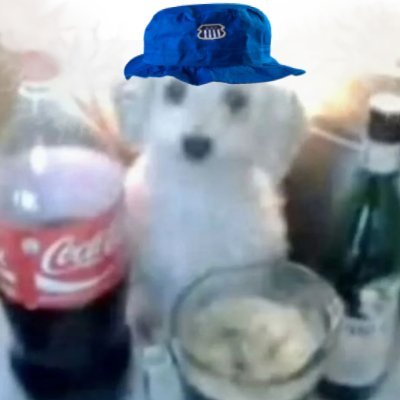El día que no esté ilusionado, estaré muerto. 💙🤍
Hincha y Socio CAT
Talleres, cocteles y sueños.