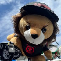 しらたま (@_sh1ratama) 's Twitter Profile