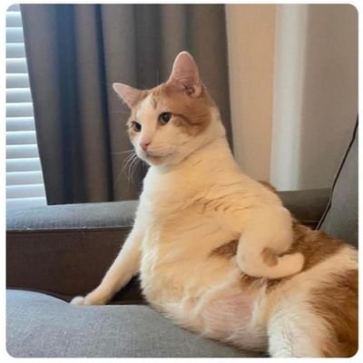 WokeSaalah81925's profile picture. 