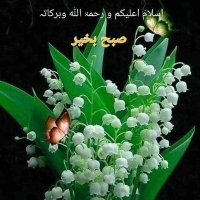 Muhammad Ashraf (@muhammadas28626) 's Twitter Profile