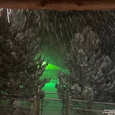 mimkat's profile picture. 