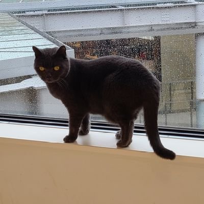 manuka_honey83's profile picture. 神奈川大学/化学生命学部