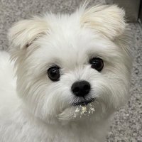 뇸냠 (@__d_0112) 's Twitter Profile