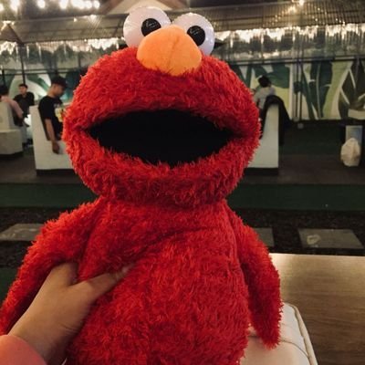 elmo_scalar Profile Picture