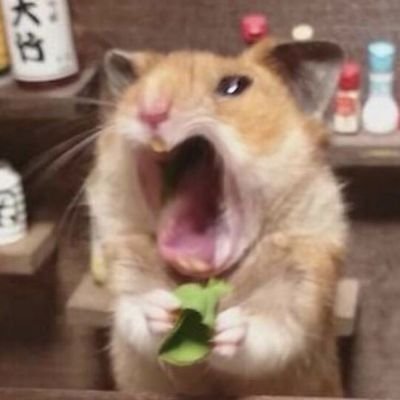 ป็อปเองครับさんのプロフィール画像