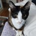 Callie's mom (@dkdonaldson5555) Twitter profile photo Callie's mom (@dkdonaldson5555) Twitter profile photo