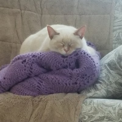 Geekgirl2024's profile picture. I'm back!  Here for the news, some truth and a few good chuckles. 
Luke 12:2