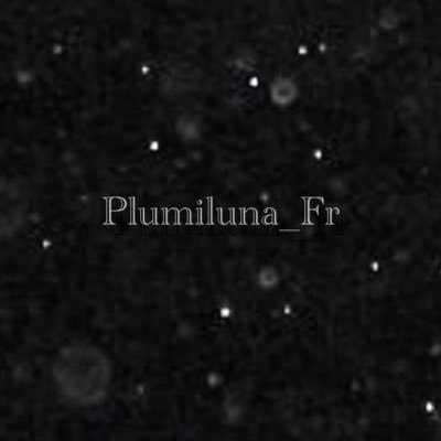 Plumiluna_Fr Profile Picture