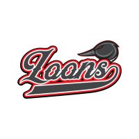 D2 Loons 13O Tier 1 Hockey(@D2Loons13O) 's Twitter Profile Photo