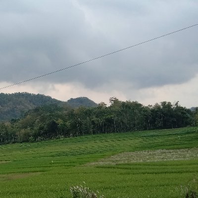 Apa ada bapak2 yg umur 40thnan yg suka Ama anak laki muda 19thnan