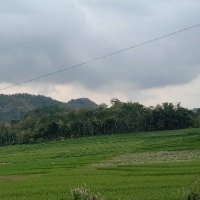 Bagas_ (@alanbaguskurni) 's Twitter Profile Photo Bagas_ (@alanbaguskurni) 's Twitter Profile Photo