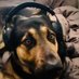 jdm (@jdm_r6) Twitter profile photo jdm (@jdm_r6) Twitter profile photo