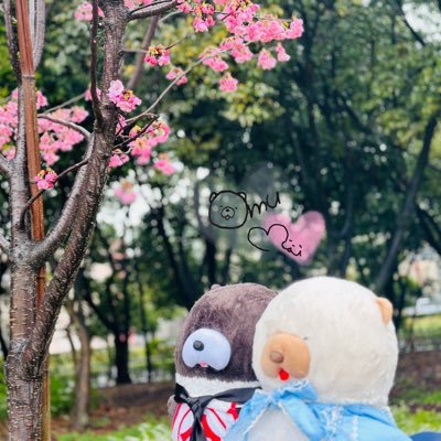omu613_muu919's profile picture. オムちゃんと、ムウちゃんのカップルアカウントです🐻💗🐻‍❄ムクムクむっくん大好き🥰TikTok🎵https://t.co/fB2gMnO4iR InstagramInstagram📷https://t.co/tHRS2jWH7Y