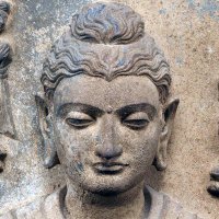 原始仏教の教団組織 Ⅰ 11］原始仏教の教団組織Ⅰ - 春秋社 ―考える愉しさを、いつまでも