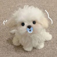 dα©ada (@gaeulmaeum) 's Twitter Profile Photo dα©ada (@gaeulmaeum) 's Twitter Profile Photo