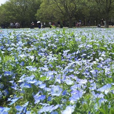 6年前から鬱に苦しみ、休職。
ようやく復帰を果たすもまだ完全復帰とはいかず、現在奮闘中。
家族の為にも必ず立て直す！