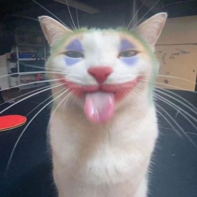esse é o meu universo, onde me deito, onde eu sonho, crio os monstros e os destruo