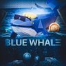 BTCBlueWhale's profile picture. Full Time Crypto Trader / Investor / Entrepreneur