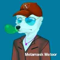 mteor_metmask's profile picture. Tangible utility integrated with nfts and decentralized technology