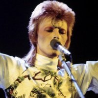 daily david bowie (@dailybowie_) 's Twitter Profile Photo
