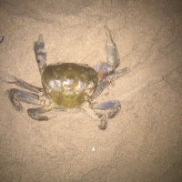 Azaba Sanyang (@azaba112333) 's Twitter Profile