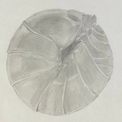 ダンゴムシさんのプロフィール画像