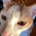 Gshdhdjdjdjdiffifuf (@cael92623327) Twitter profile photo Gshdhdjdjdjdiffifuf (@cael92623327) Twitter profile photo