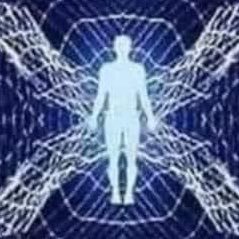 no_vfm's profile picture. 