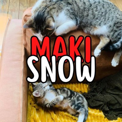 Twitteur officielle de MAKI SNOW
YouTubeur depuis 3 ans