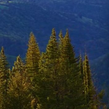 0xject's profile picture. caveat emptor