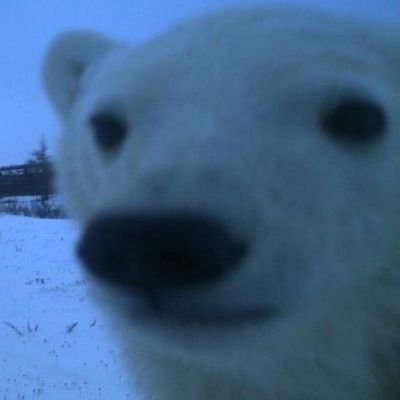 devilwix's profile picture. 