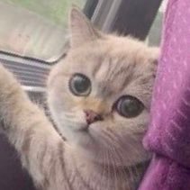 elVNjDezImfhARe's profile picture. 