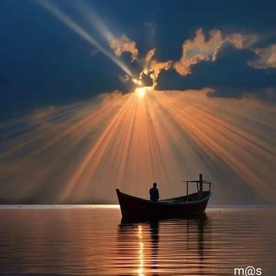 websterneila's profile picture. 