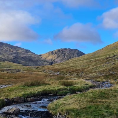 Ho1mesy987's profile picture. 