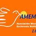 AMEM (@amemiap) Twitter profile photo AMEM (@amemiap) Twitter profile photo