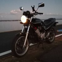 レイブン jade250 (@raven48_jade) 's Twitter Profile